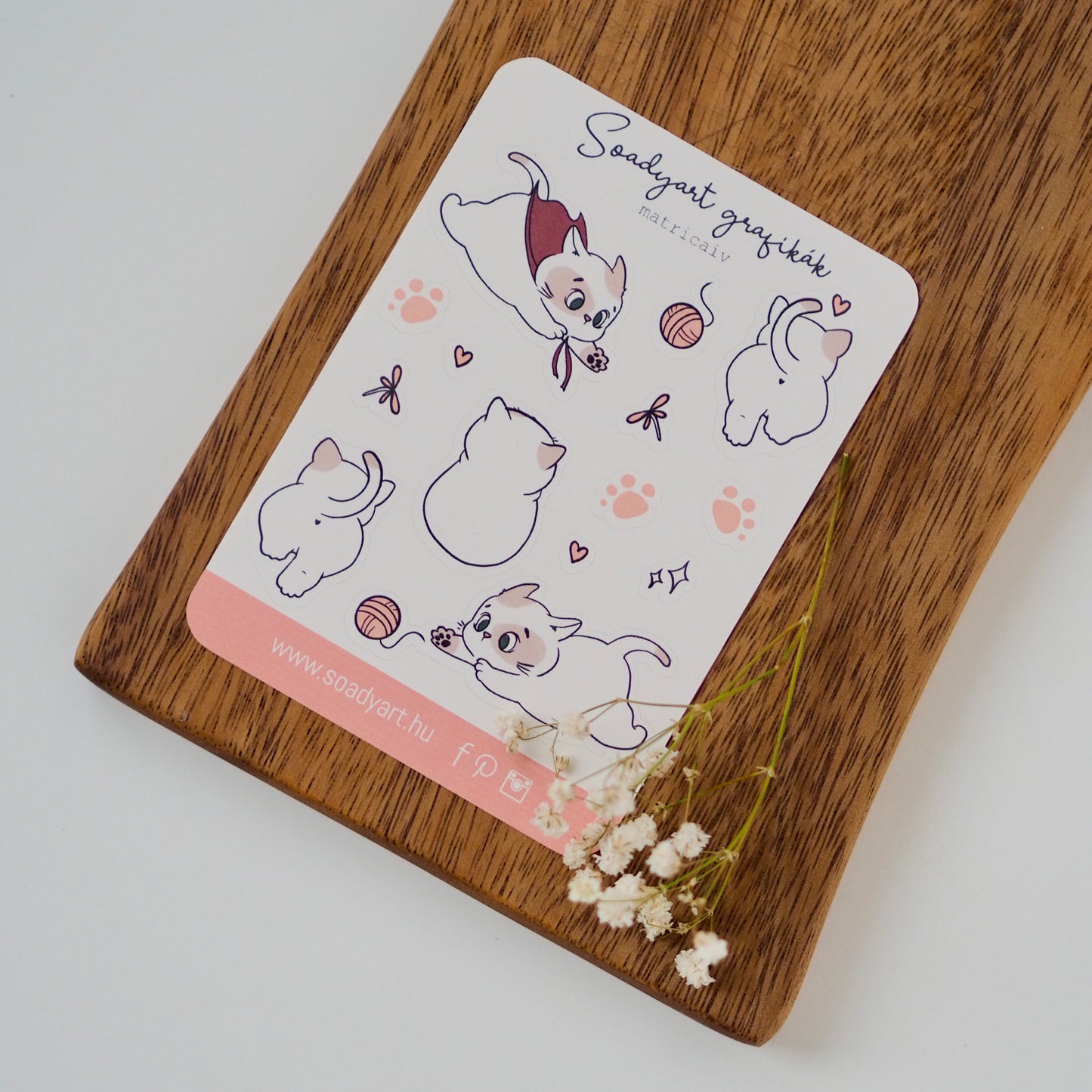 Latte cica matricaív - S8